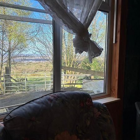 Cozy Room In A Barn With Farm View Dublin Zewnętrze zdjęcie