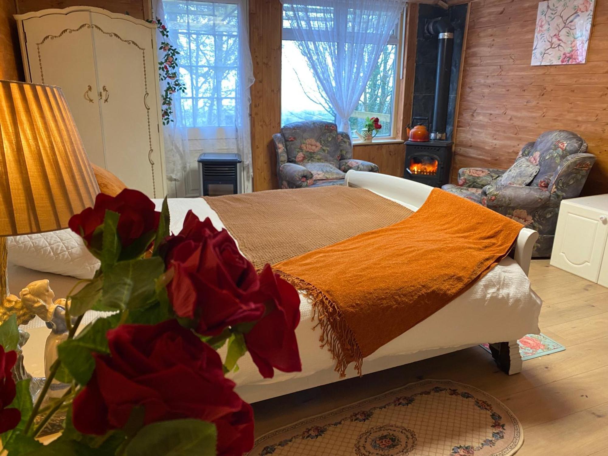 Cozy Room In A Barn With Farm View Dublin Zewnętrze zdjęcie